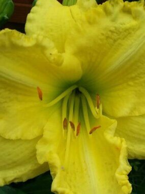 Everything is on SALE!!! Offer $7 and it's yours!